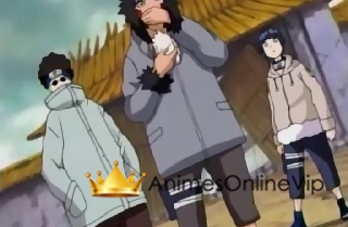 Naruto - Episódio 206