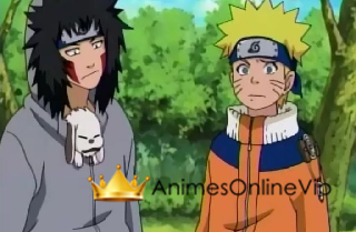 Naruto - Episódio 208