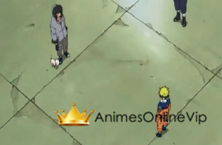 Naruto - Episódio 44