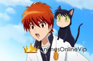 Kyoukai no Rinne Episódio 4