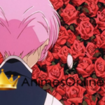 Shoujo Kakumei Utena: Adolescence Mokushiroku  Dublado Filme