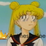 Bishoujo Senshi Sailor Moon: Sailor Stars  Hero Club