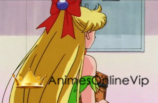 Bishoujo Senshi Sailor Moon: Sailor Stars Episódio 26