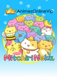 Mitchiri Neko