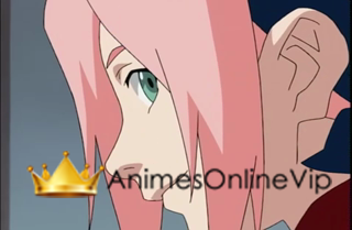 Naruto Shippuden Dublado  - Episódio 22