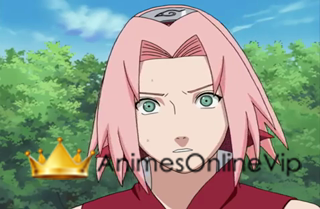 Naruto Shippuden Dublado  - Episódio 40