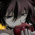 Pandora Hearts