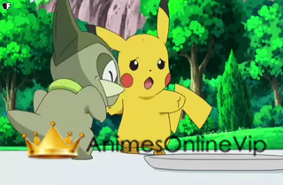 Pokémon Best Wishes!  - Episódio 8