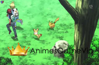 Pokémon XY  - Episódio 56