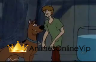 Scooby-Doo Dublado - Assistir Animes Online HD