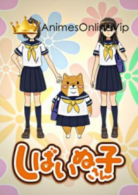 Shiba Inuko-san