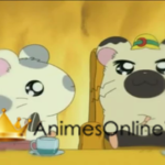 Hamtaro Dublado