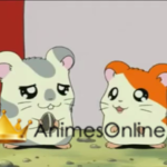 Hamtaro Dublado