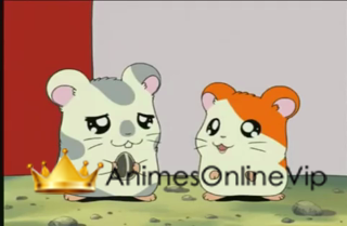 Hamtaro Dublado - Episódio 11