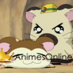 Hamtaro Dublado