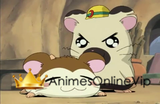 Hamtaro Dublado - Episódio 2