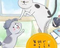 Inu to Neko Docchi mo Katteru to Mainichi Tanoshii