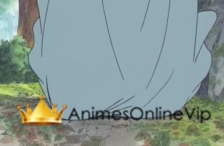 One Piece Dublado - Episódio 16