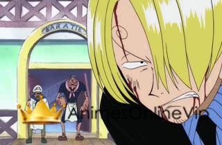 One Piece Dublado - Episódio 28