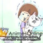 Inu to Neko Docchi mo Katteru to Mainichi Tanoshii