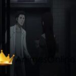 SteinsGate: Kyoukaimenjou no Missing Link  Divide By Zero  Dublado Ova