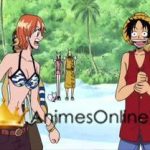 One Piece Dublado