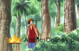 One Piece Dublado - Episódio 158