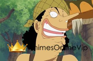 One Piece Dublado - Episódio 223