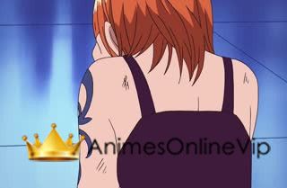 One Piece Dublado - Episódio 253