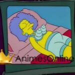 Os Simpsons  1° Temporada Dublado