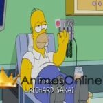 Os Simpsons 20° Temporada Dublado