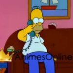 Os Simpsons  3° Temporada Dublado