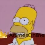 Os Simpsons 9° Temporada  Dublado