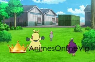 Pokémon: Mezase Pokémon Master Online - Assistir anime completo dublado e  legendado