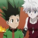 Hunter x Hunter (2011)  Dublado