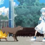 Shinryaku Ika Musume OVA  Dublado